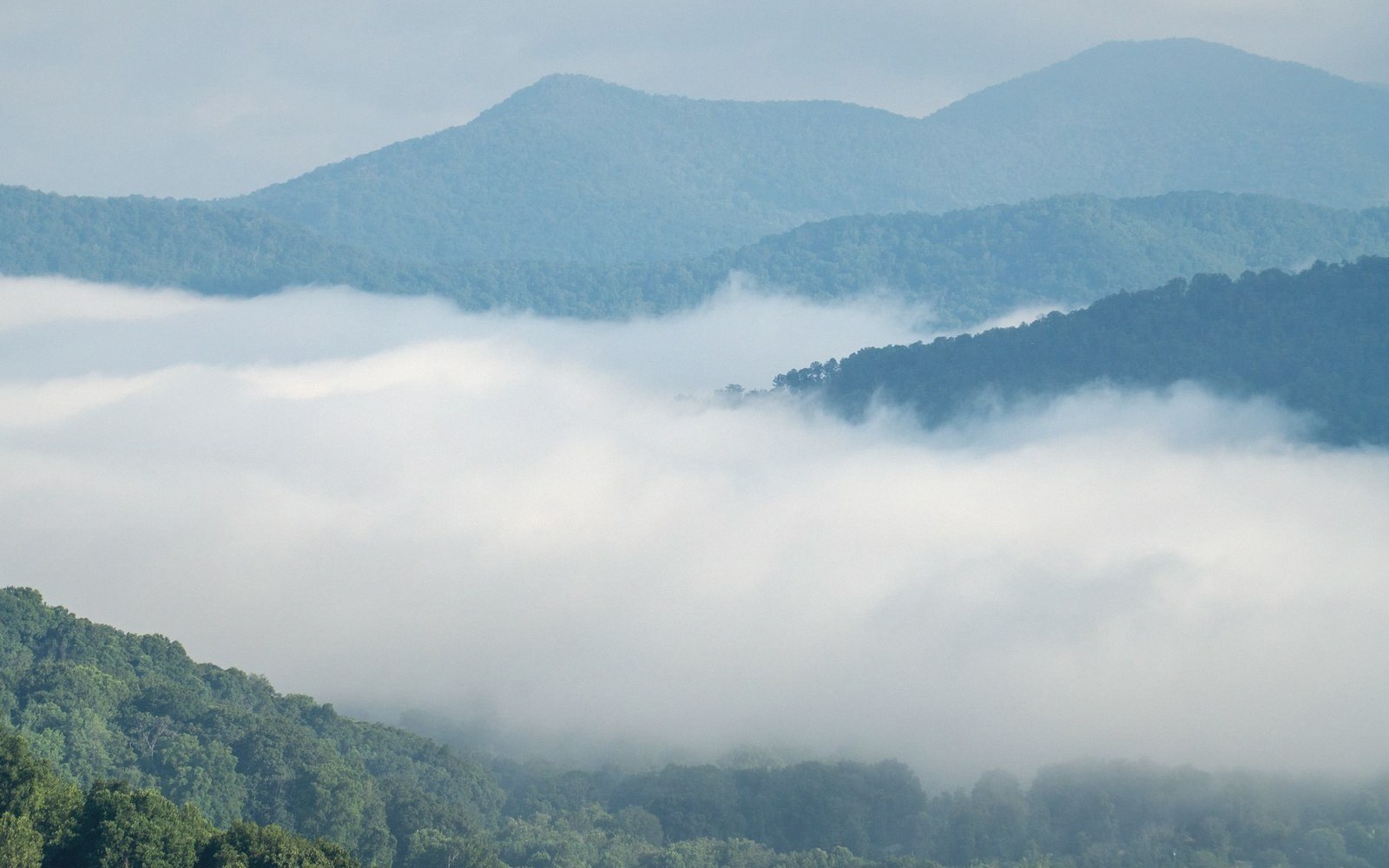 Thick fog fills a valley between forested mountain ridges under hazy sky