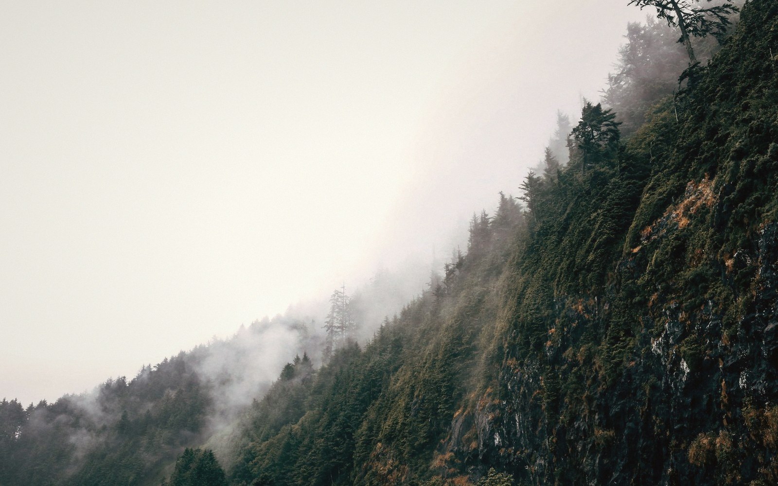 Fog drifts over a steep, tree-covered ridge with exposed rocky cliffs