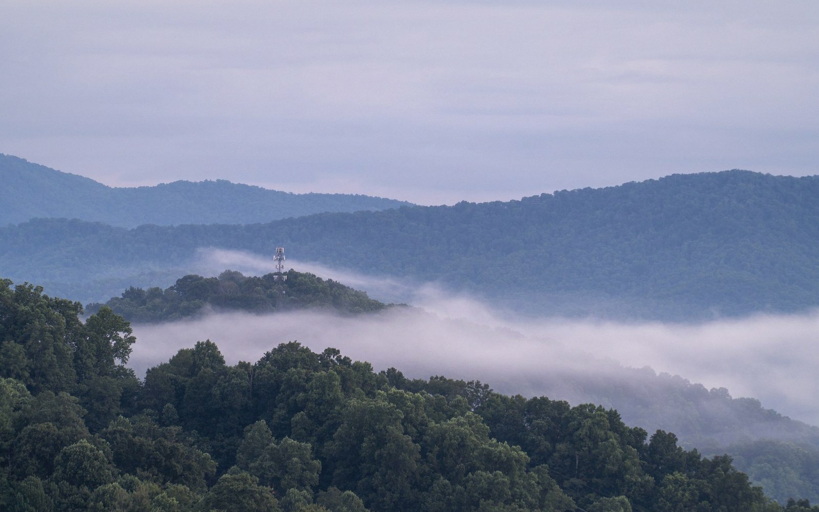 Fog drifts through forested ridgelines with a communication tower on a distant hilltop
